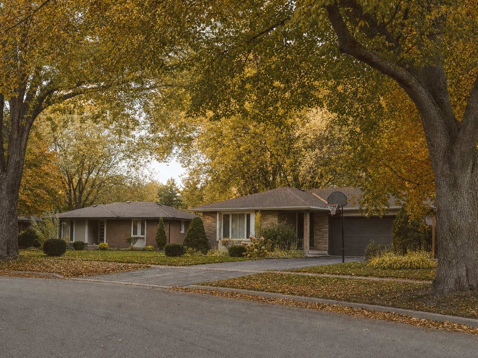 An older residential street of low brick houses under mature maples, late in the afternoon