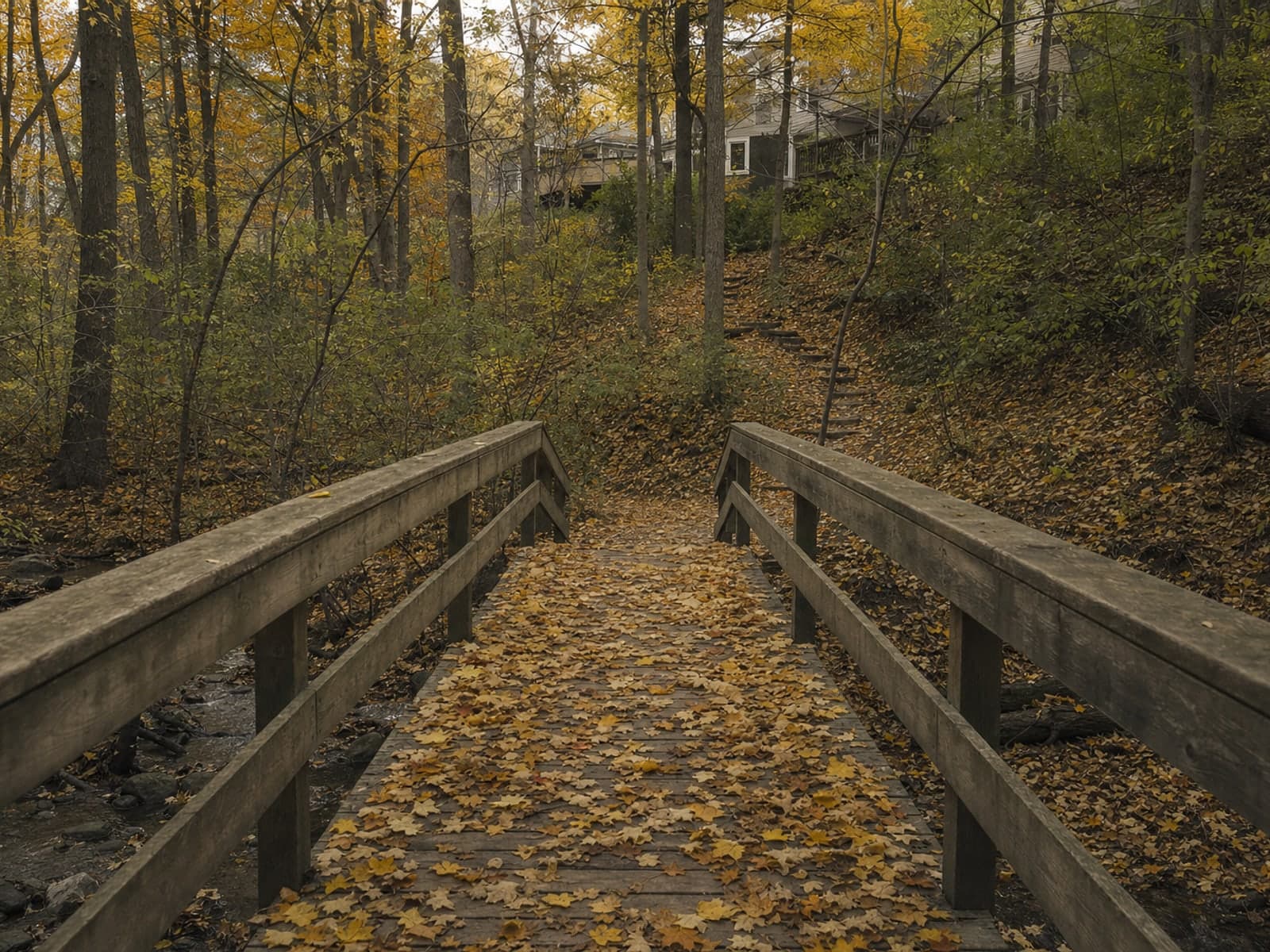 A wooden footbridge over a creek on a wooded ravine path, leaf litter thick on the boards