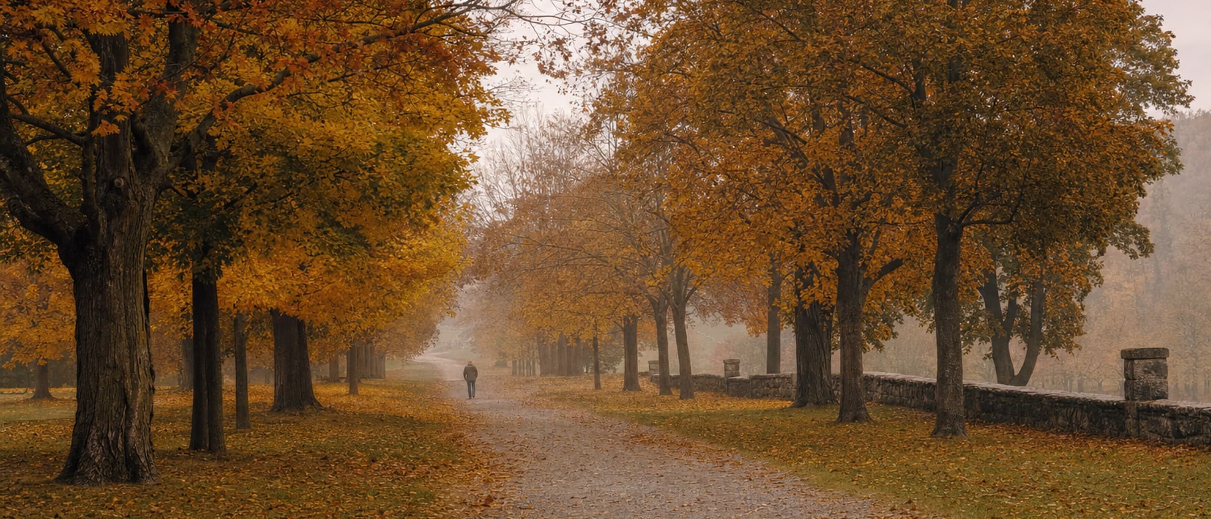A gravel path through a park of maples in autumn, one distant figure walking away